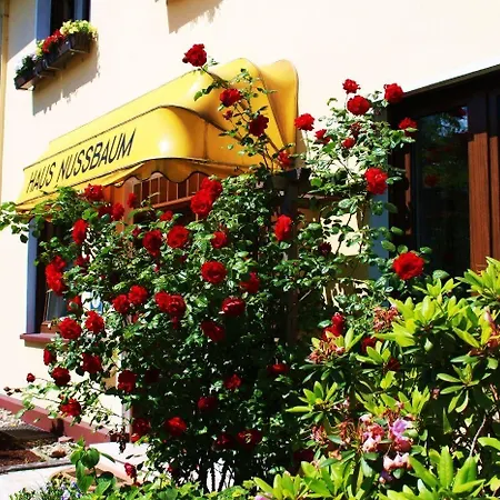 Haus Nussbaum 3* ראטינגן